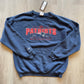 Patriots A.F.C. EAST PullOver