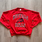 Vintage Buffalo Bills PullOver Crew neck