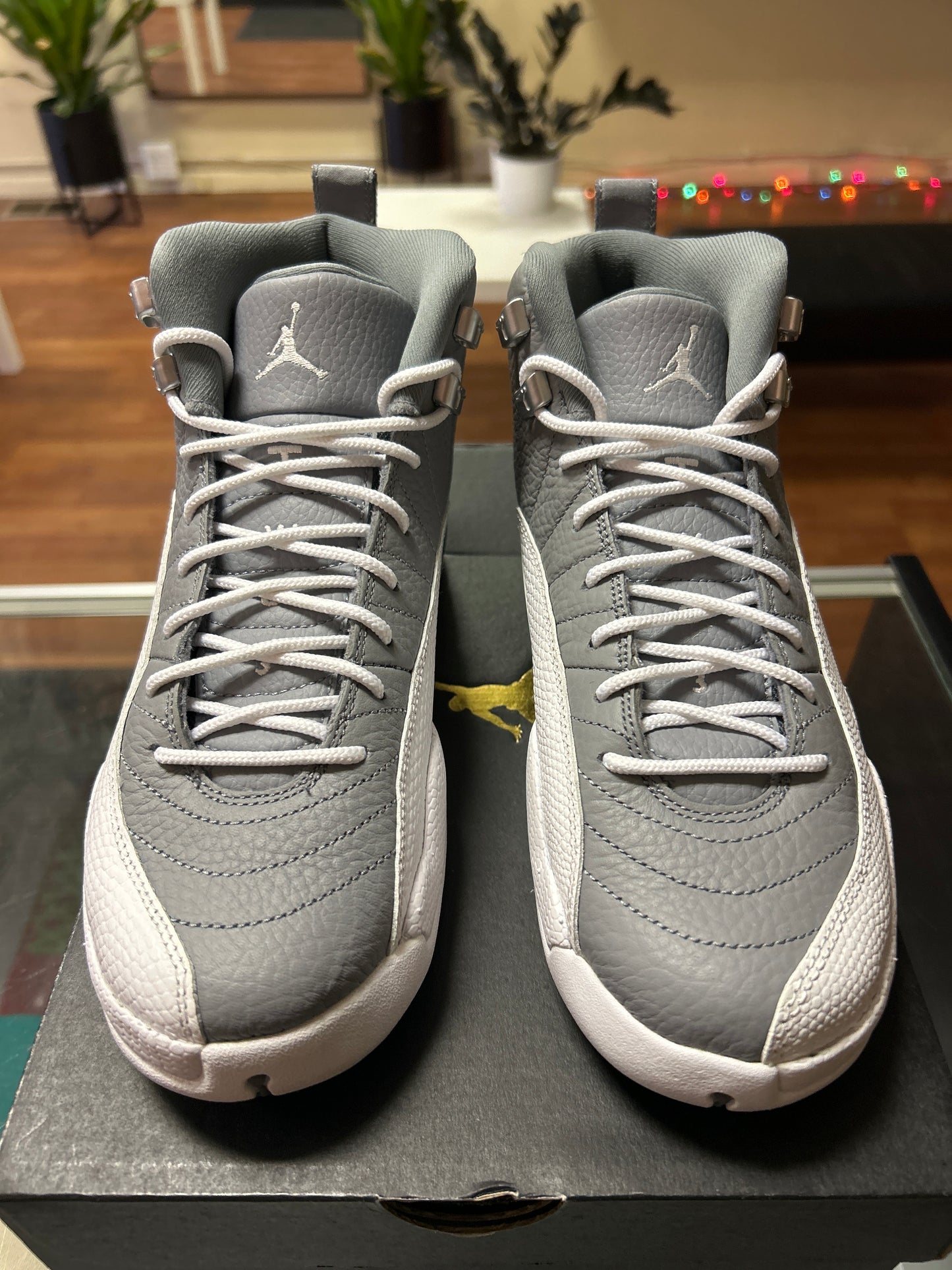 Jordan 12 Retro Stealth (GS) - Preloved