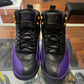 Jordan 12 Retro Field Purple - Preloved